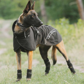 Hunde-Netzmantel Bay Low Tail Schwarz Hunde-Netzmantel Bay Low Tail Schwarz