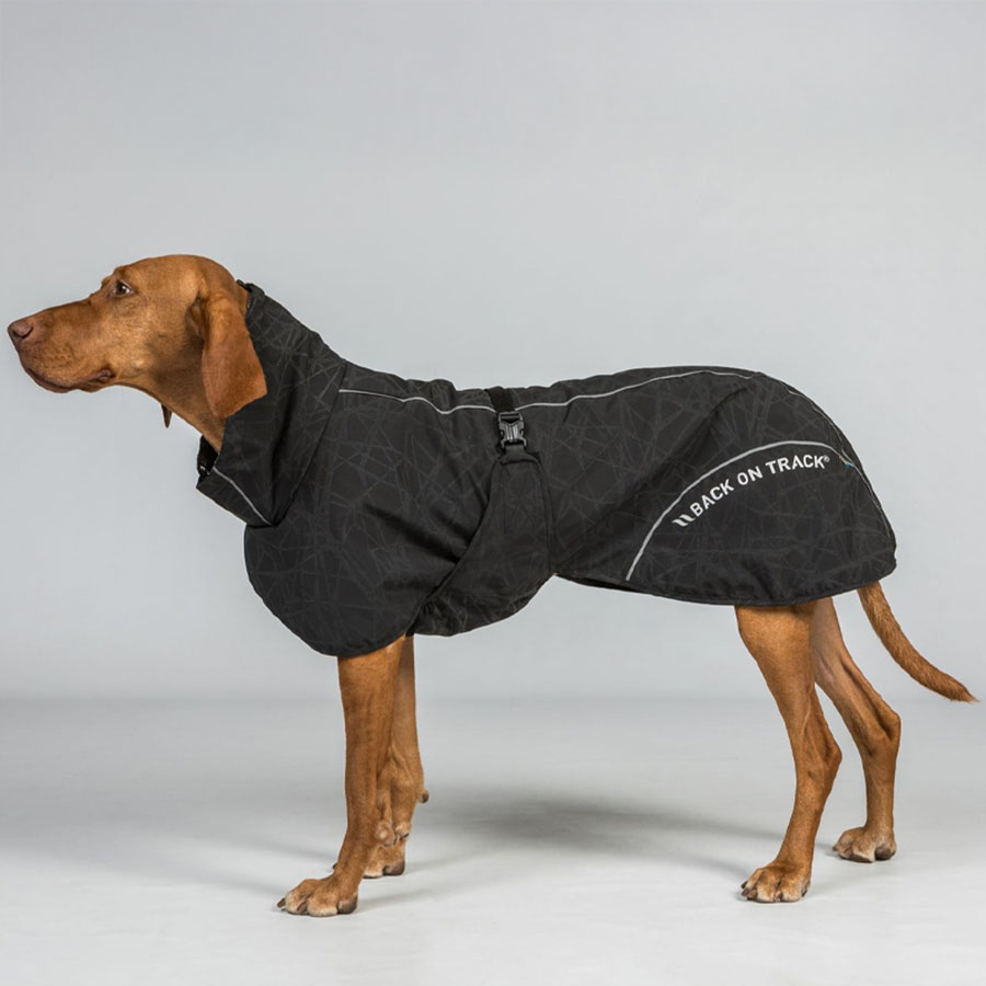 Hunde-Regenmantel Bay Low Tail Schwarz