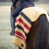 Wollfilz Newmarket Gelb Wollfilz Newmarket Gelb