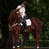 Reitjacke Reflective Grau Reitjacke Reflective Grau