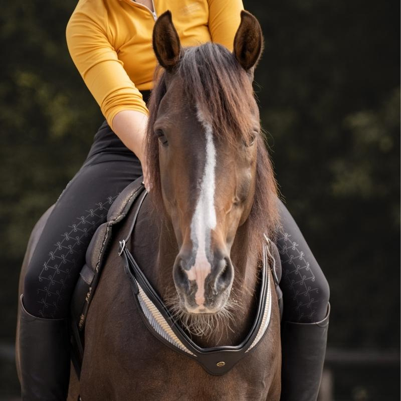 Halsring Leder Whisper NH Schwarz