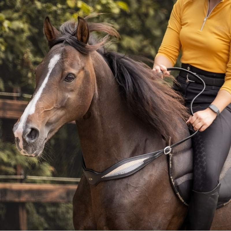 Halsring Leder Whisper NH Schwarz