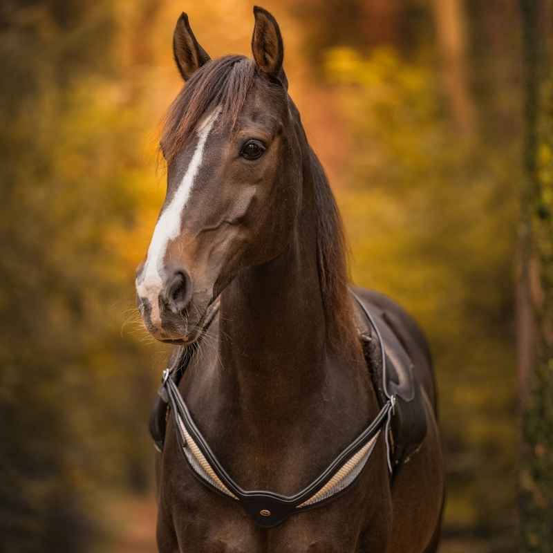 Halsring Leder Whisper NH Schwarz