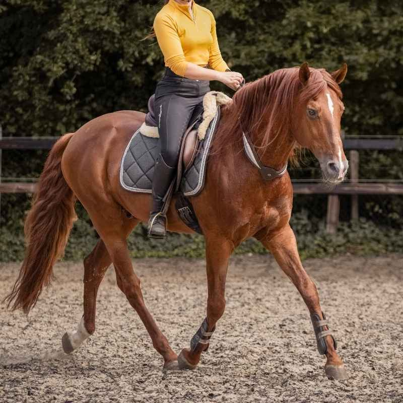 Halsring Leder Whisper NH Braun