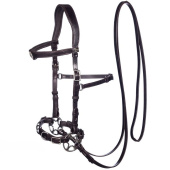 Gebisslose Trense Caval Cavemore Braun Gebisslose Trense Caval Cavemore Braun