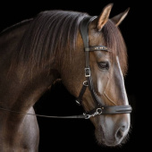 Gebisslose Trense Moonlight Sidepull Schwarz Gebisslose Trense Moonlight Sidepull Schwarz