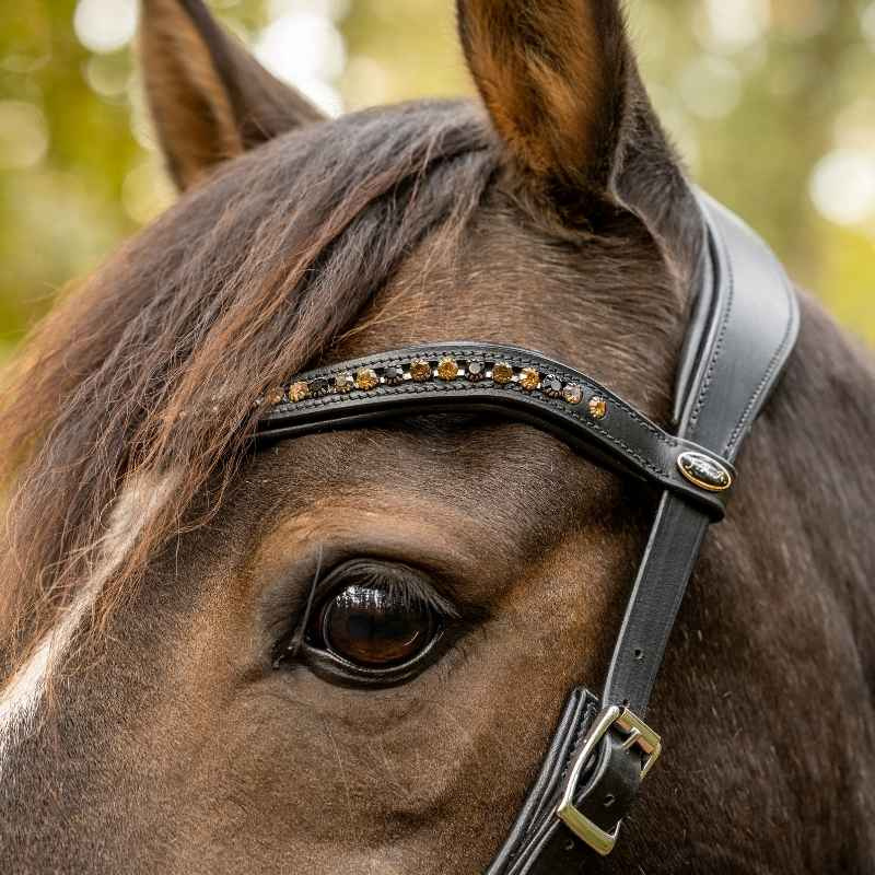 Gebisslose Trense Moonlight Sidepull Schwarz