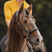 Gebisslose Trense Moonlight Sidepull Schwarz Gebisslose Trense Moonlight Sidepull Schwarz