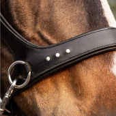 Gebisslose Trense Glory Sidepull Schwarz Gebisslose Trense Glory Sidepull Schwarz