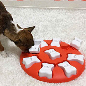 Aktivitätsspielzeug Dog Smart Level 1 Rot/Weiß