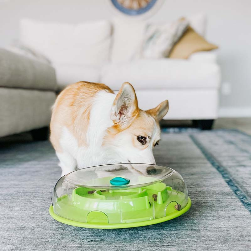 Aktivitätsspielzeug Wobble Bowl Level 1 Türkis/Grün