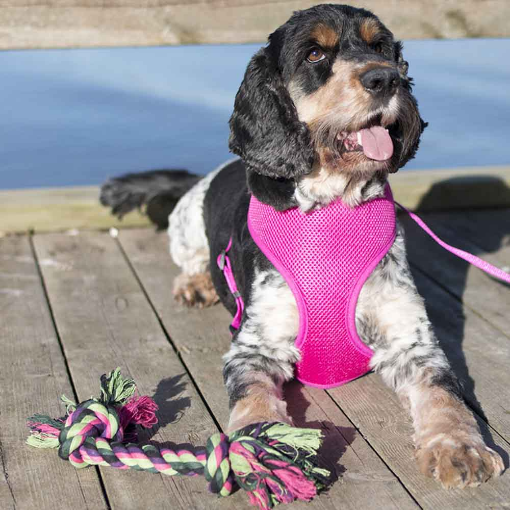 Hundespielzeug Vixen Seilknoten Grün/Schwarz/Rosa