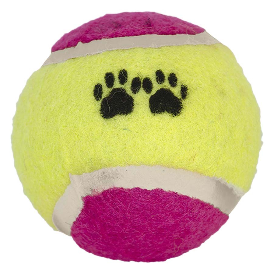 Ballwerfer mit Tennisball Wille Schwarz