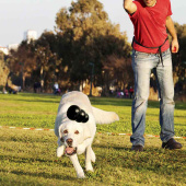 Hundespielzeug KONG Extreme Klein Schwarz Hundespielzeug KONG Extreme Klein Schwarz