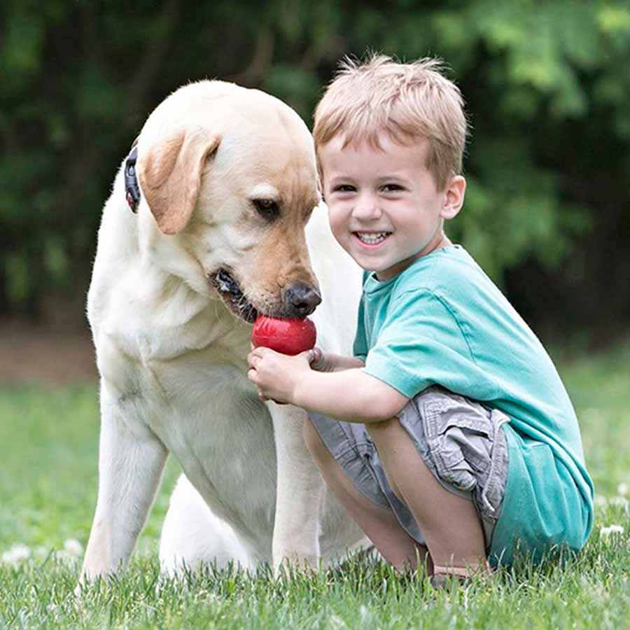 Hundespielzeug KONG Classic Klein Rot