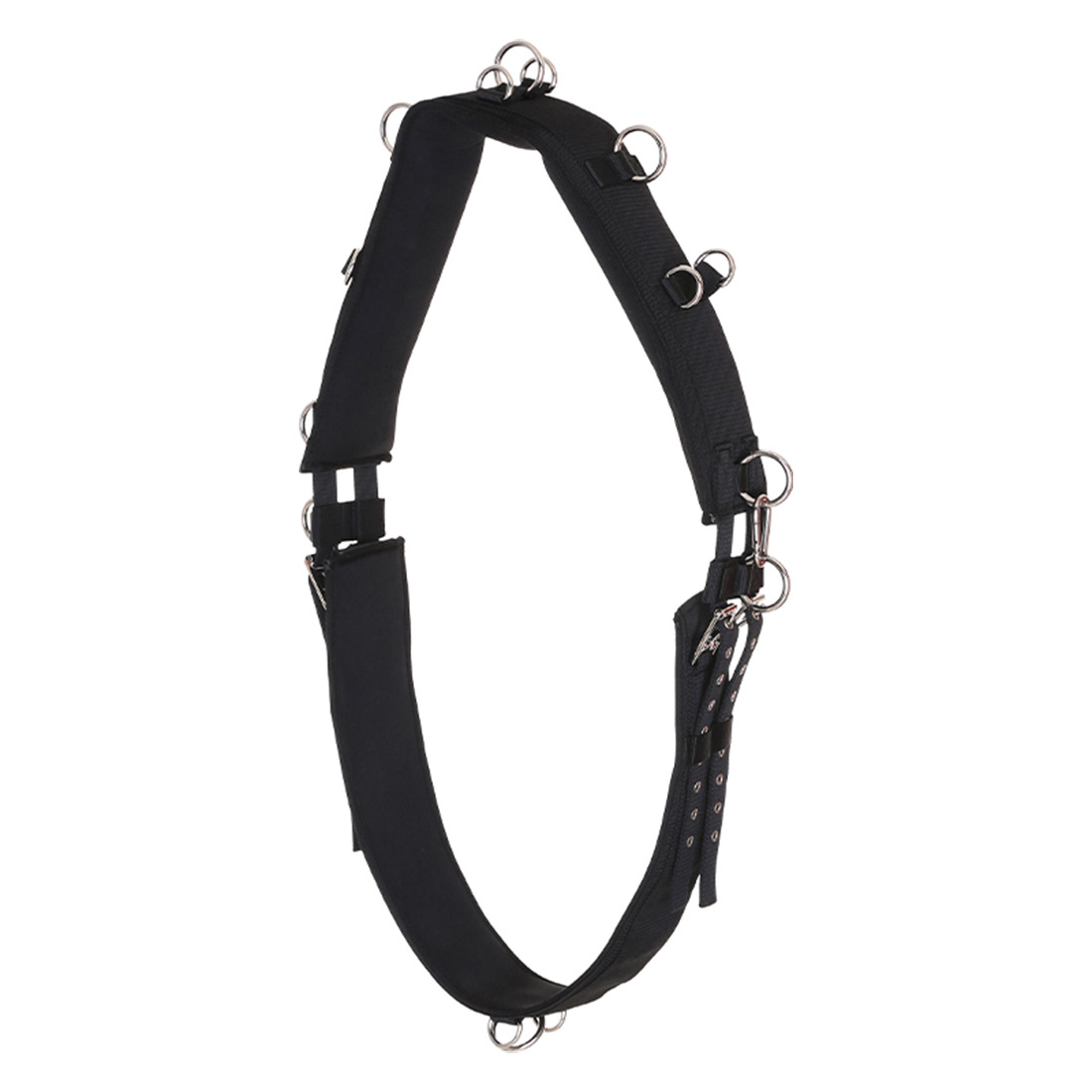 Longenleine HG Schwarz