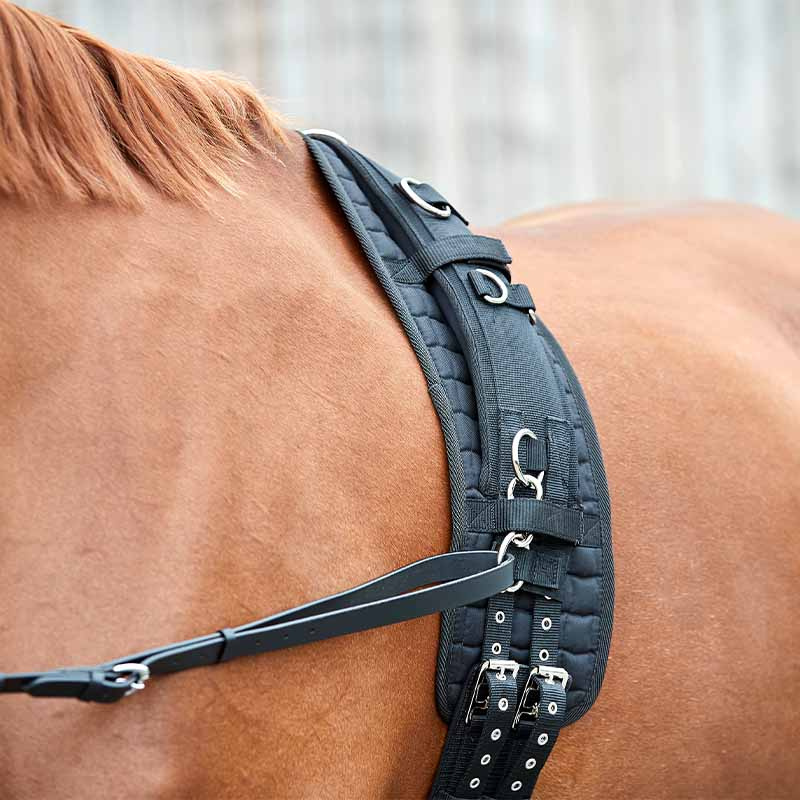 Longenleine HG Schwarz