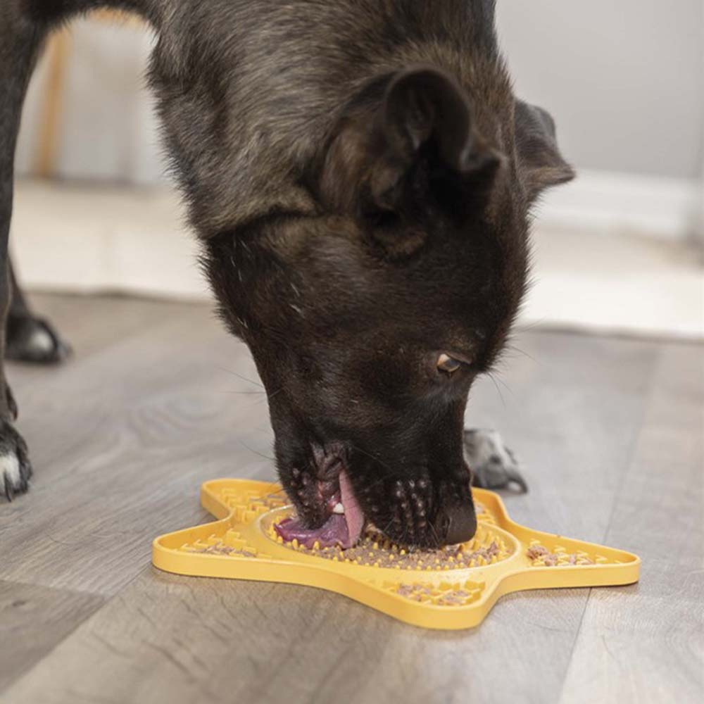 Leckmatte Stern Gelb