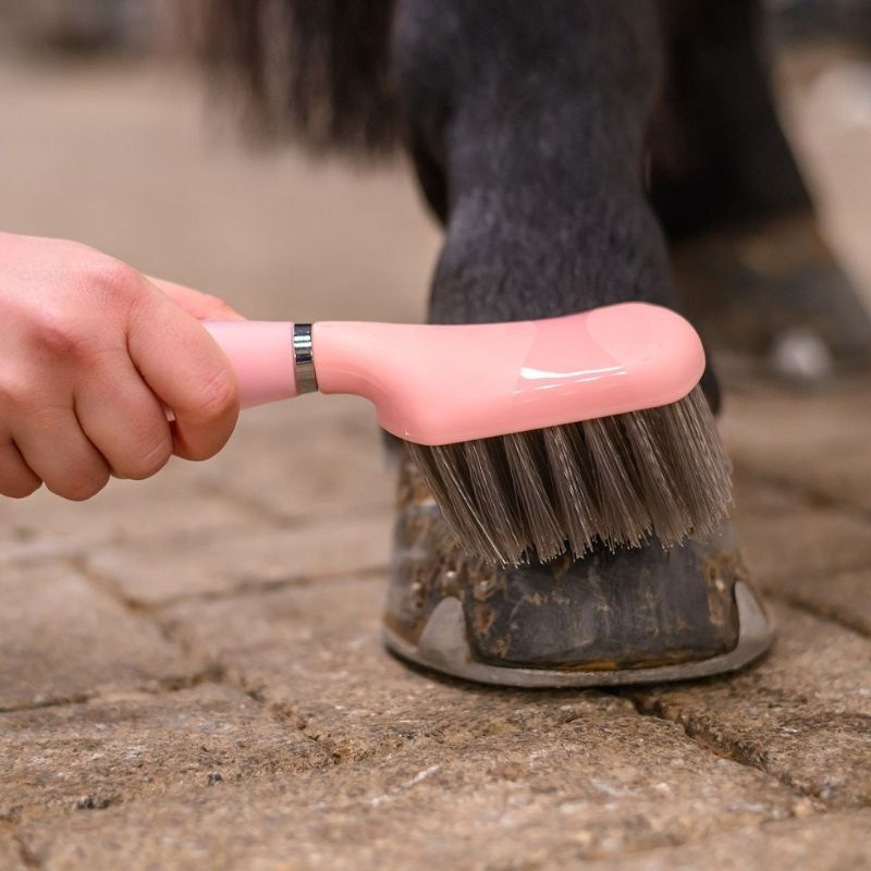 Hufbürste Gel Rosa