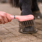 Hufbürste Gel Rosa Hufbürste Gel Rosa