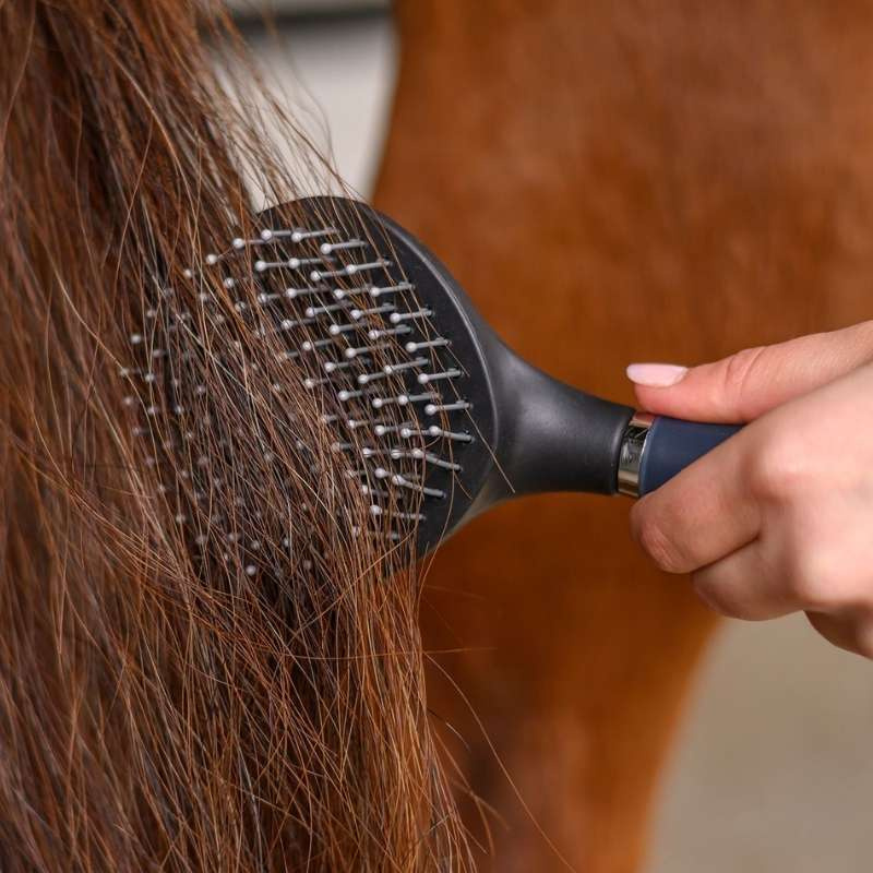 Mähnenbürste Gel Schwarz