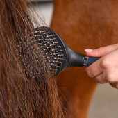 Mähnenbürste Gel Schwarz Mähnenbürste Gel Schwarz