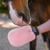 Putzhandschuh Lucky Lambskin Rosa Putzhandschuh Lucky Lambskin Rosa