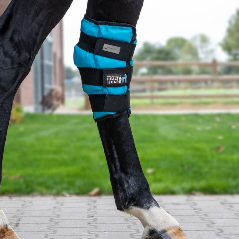 Sprunggelenks Kühlgamasche Cooling Gel Blau Full