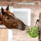 Heuball Flexible Grün Heuball Flexible Grün