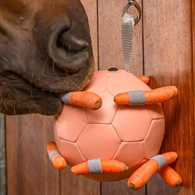 Pferdespielzeug Carrot Ball Rosa