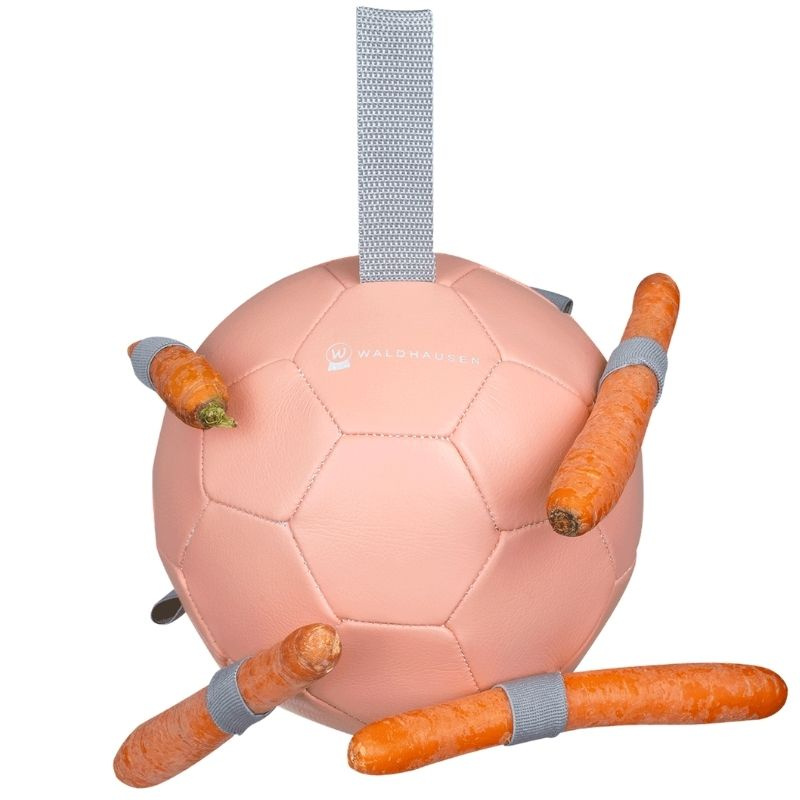 Pferdespielzeug Carrot Ball Rosa