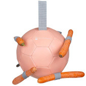 Pferdespielzeug Carrot Ball Rosa Pferdespielzeug Carrot Ball Rosa
