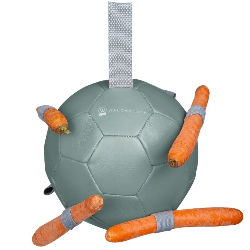 Pferdespielzeug Carrot Ball Grün