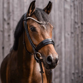 Doppelt gebrochenes Gebiss Novocontact Sensogan Ø55mm Doppelt gebrochenes Gebiss Novocontact Sensogan Ø55mm