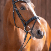 Einfach gebrochenes Gebiss Dynamic RS Sensogan Ø55-70mm Einfach gebrochenes Gebiss Dynamic RS Sensogan Ø55-70mm