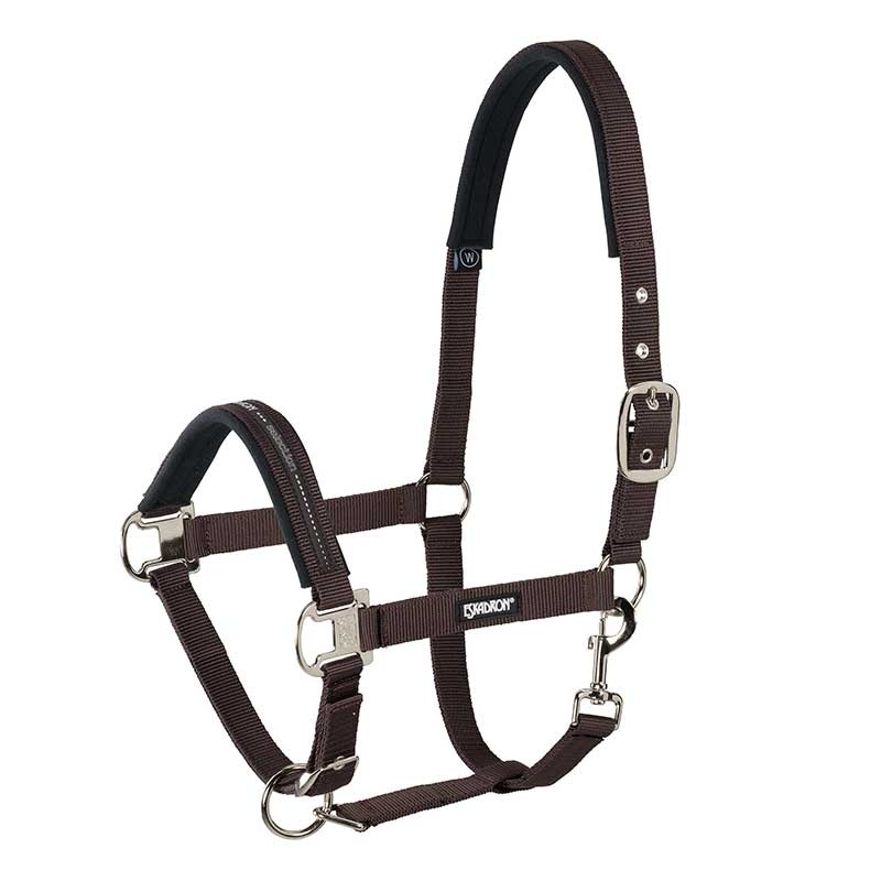 Halfter Pin Buckle Braun