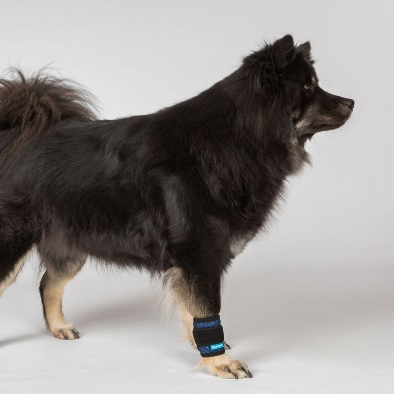 Kühlbandage Cool on Track Blau
