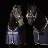 Halfter Show-Line Half Fur Marineblau Halfter Show-Line Half Fur Marineblau