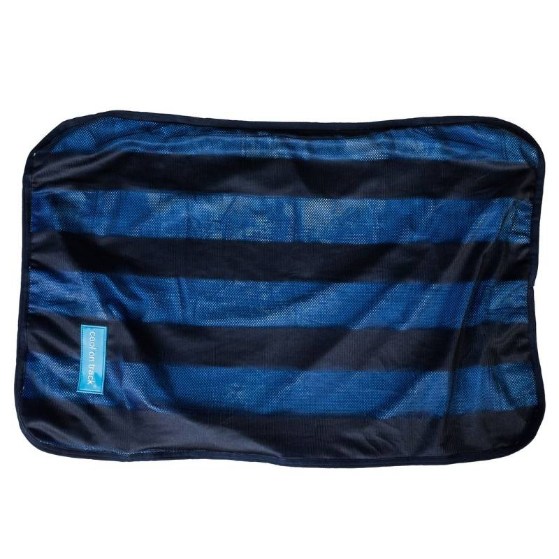 Kühlhandtuch Cool on Track Blau