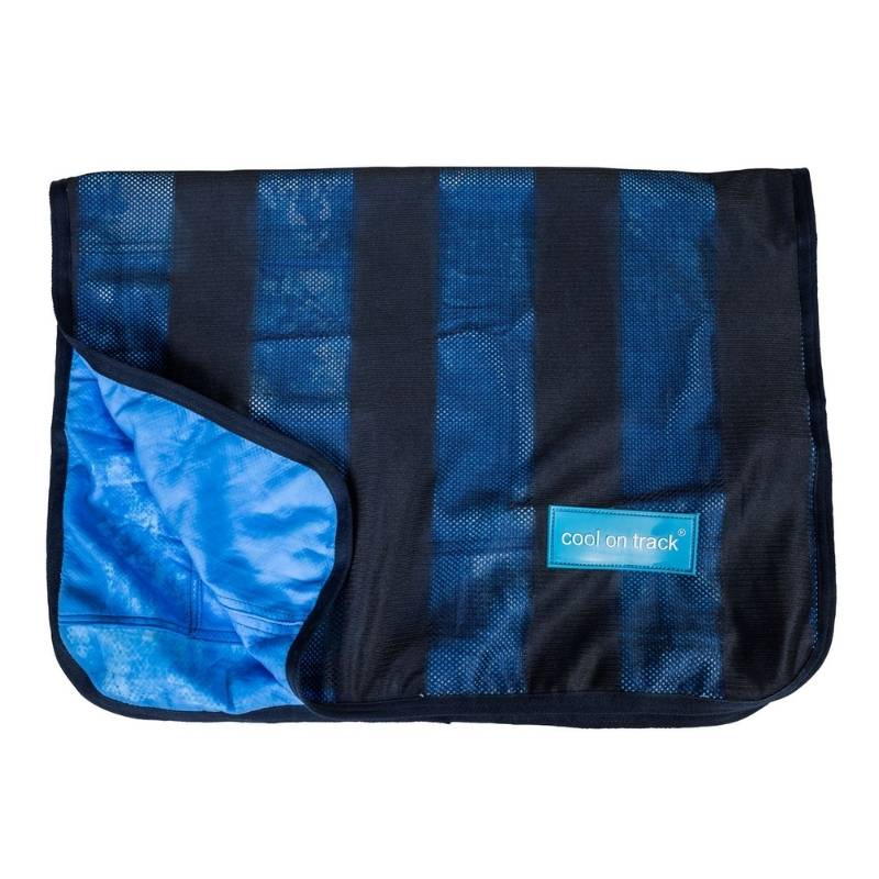 Kühlhandtuch Cool on Track Blau