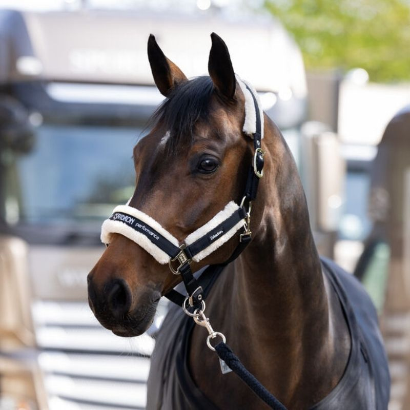 Halfter Fauxfur Double Pin Schwarz