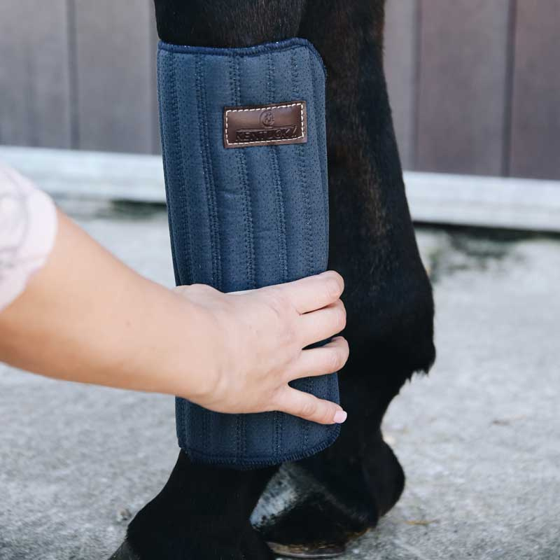 Ridpads Absorb 45 x 30 - 4er-Pack Marineblau