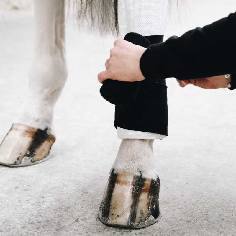 Ridpads Absorb 45 x 30 - 4er-Pack Schwarz/Weiß