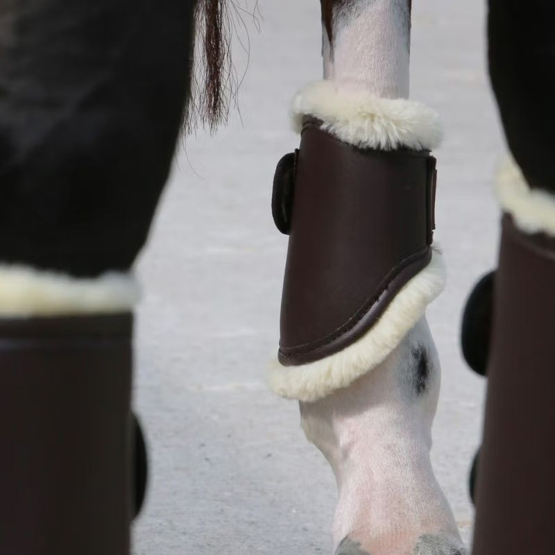 Gamaschen Leather Hind Short Braun