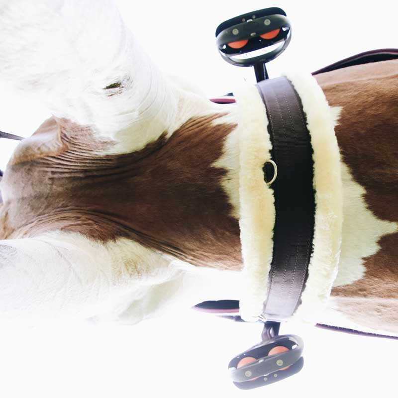 Sattelgurt aus Schaffell Braun