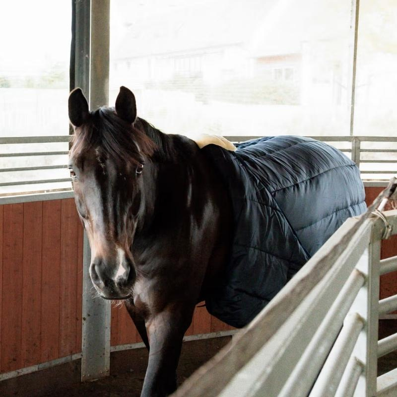 Deckengurt für Führanlage Sheepskin Nylon Schwarz
