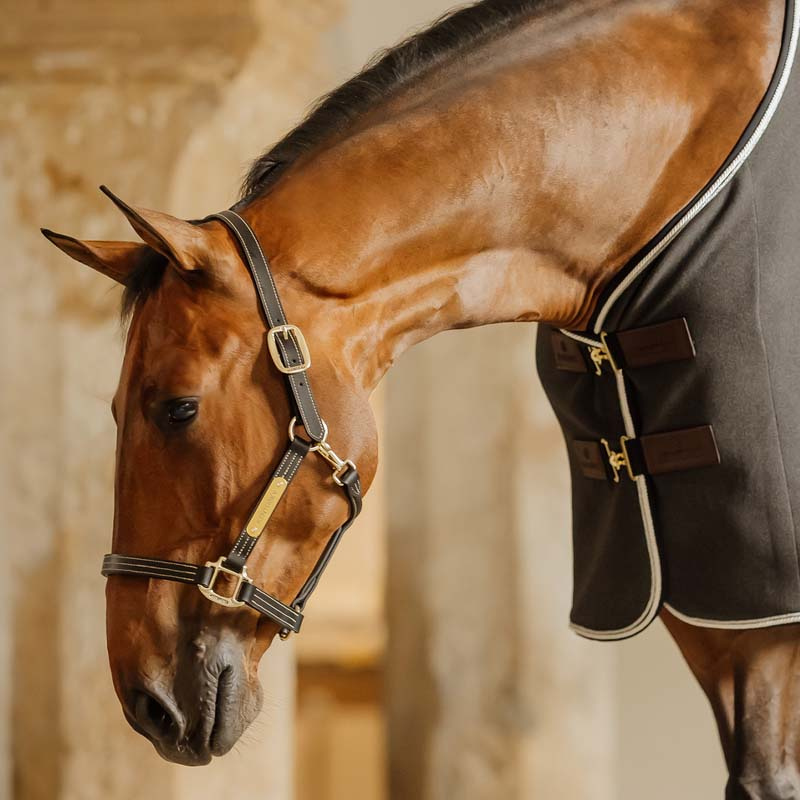 Lederhalfter Artificial Wellington Schwarz