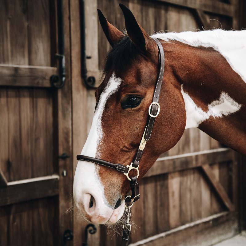 Pflegehalfter Artificial Leather Braun