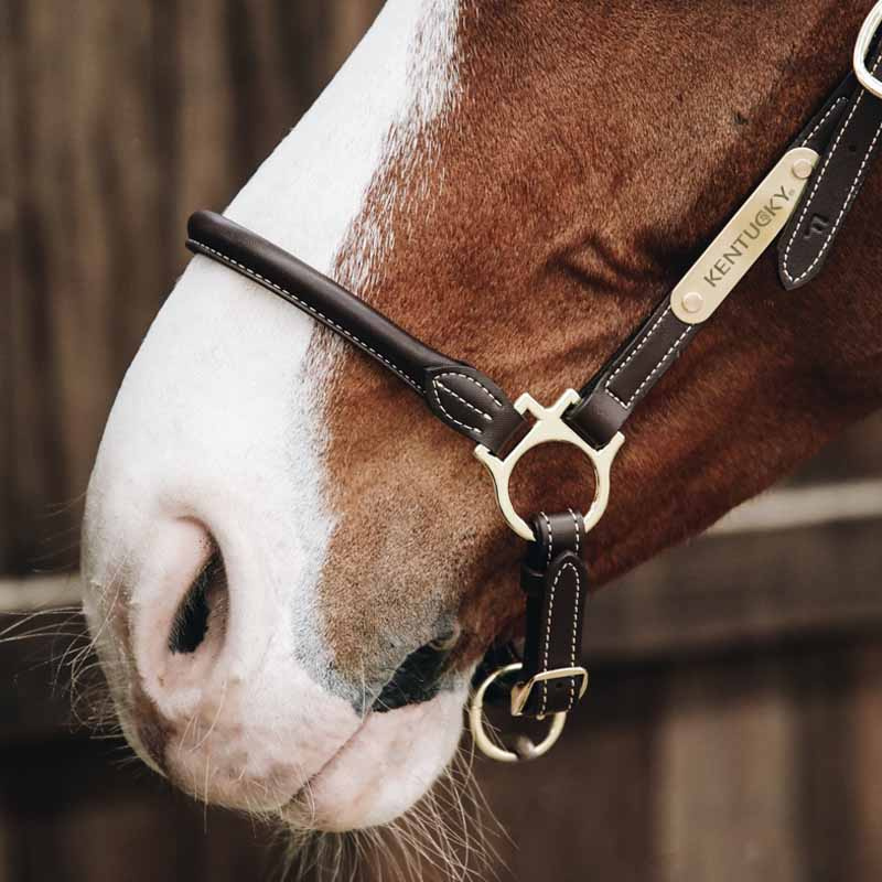 Pflegehalfter Artificial Leather Braun