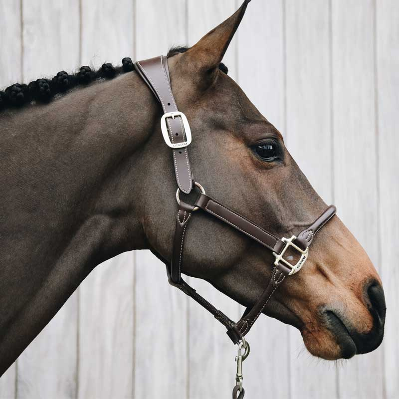 Anatomisches Kunstlederhalfter Braun